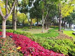 -北外滩滨江绿地