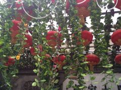 -郭家大院(新源店)