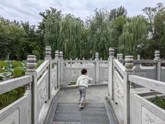 -莲湖公园
