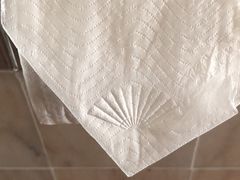 -新加坡文华东方酒店