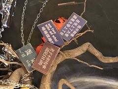 -秃鹫湾·推理大师沉浸式实景演绎推理剧场