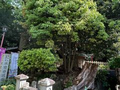 -水前寺成趣园