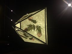 云海肴·云南菜(伊势丹店)-云海肴·汽锅鸡·云南菜(天津国金汇店)