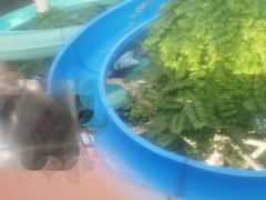 android_upload_pic-龙达温泉生态城