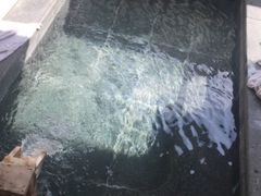 -佛山市三水温泉度假村