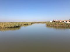 -东方华地城湿地温泉度假区