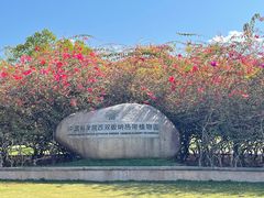 -中国科学院西双版纳热带植物园
