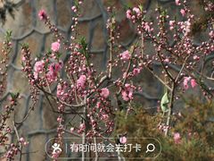 -颐和园