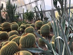 -北京植物园-展览温室