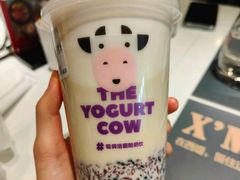 -一只酸奶牛(丹尼斯大卫城店)
