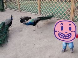 -萌宠亲子动物乐园(槐房万达店)