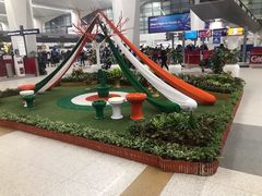 -英迪拉·甘地国际机场