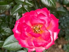 -人民公园(罗湖区)