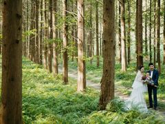 -黄海国家森林公园