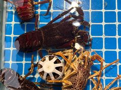 -渔港甄宴·海鲜·地标烟台菜(金沙滩店)