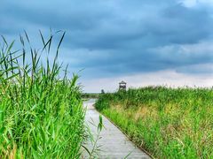 -盐城丹顶鹤湿地生态旅游区