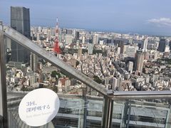 -六本木新城展望台(东京城市景观)