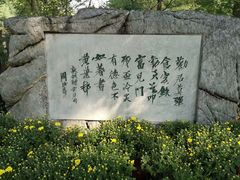 -红楼梦邮局