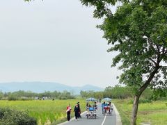 -良渚古城遗址公园