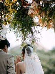 点击看大图 -美薇亭婚礼顾问