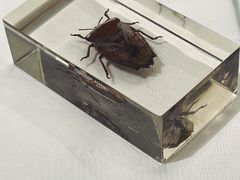 -宴锦堂·西院私房菜