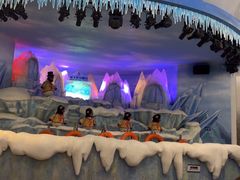 -帝企鹅自助餐厅•儿童岛•真企鹅(长隆企鹅酒店)