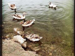 -敦煌雅丹国家地质公园