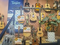 -柏斯琴行(汾阳店)