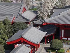 -大慈恩寺(大雁塔)