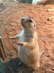 -Zoolung Zoolung动物主题公园(海信广场店)