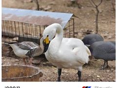 -大连老虎滩海洋公园