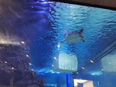 -胡桃里乐队酒馆(鎏嘉码头店)