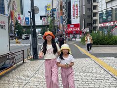 -秋叶原电器街