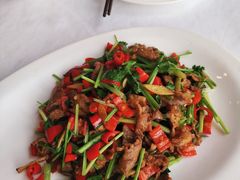 小炒牦牛肉-中发源·清真餐厅(南油店)