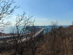 -星海湾跨海大桥