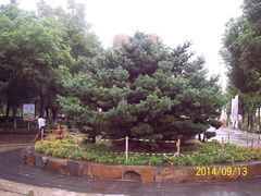 -昆山城市生态森林公园