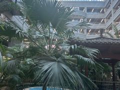 -黑龙江中医药大学附属第一医院