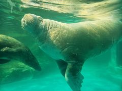 -海合安成都极地海洋公园