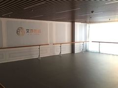 -艾莎舞蹈(中南大厦校区)