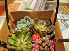 -海底捞火锅(大融城店)