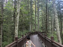 -汤旺河林海奇石景区