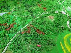 -海口火山口国家地质公园