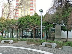 公园环境-双榆树公园