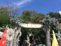 门面-王顺山国家森林公园