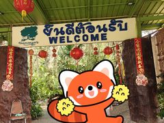 -绿光森林餐厅