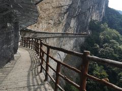 -鹿院坪生态旅游景区