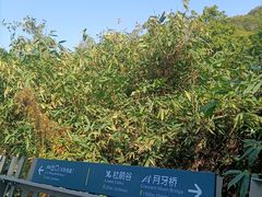 -福道