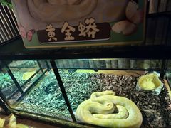 -常州淹城野生动物世界