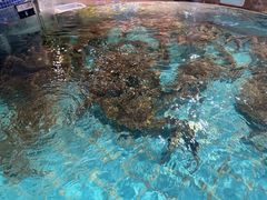 -鸿鑫海鲜楼(福辉店)