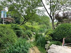 -青枫公园